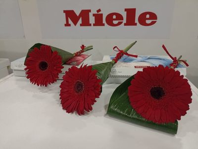 Produtos Miele na loja StandAudio